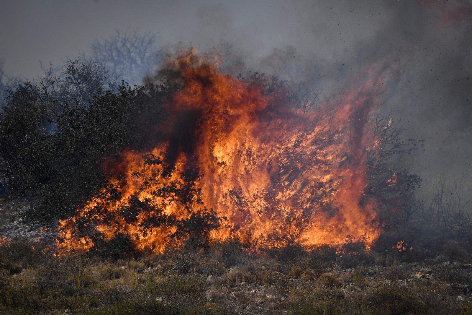 Arbustos são tomados pelas chamas em Tarascon, sudeste da França — Foto: CLEMENT MAHOUDEAU / AFP