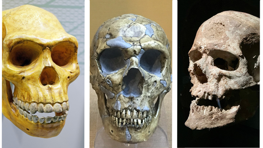 Ancestrais humanos quase entraram em extinção há 930 mil anos, revela DNA 