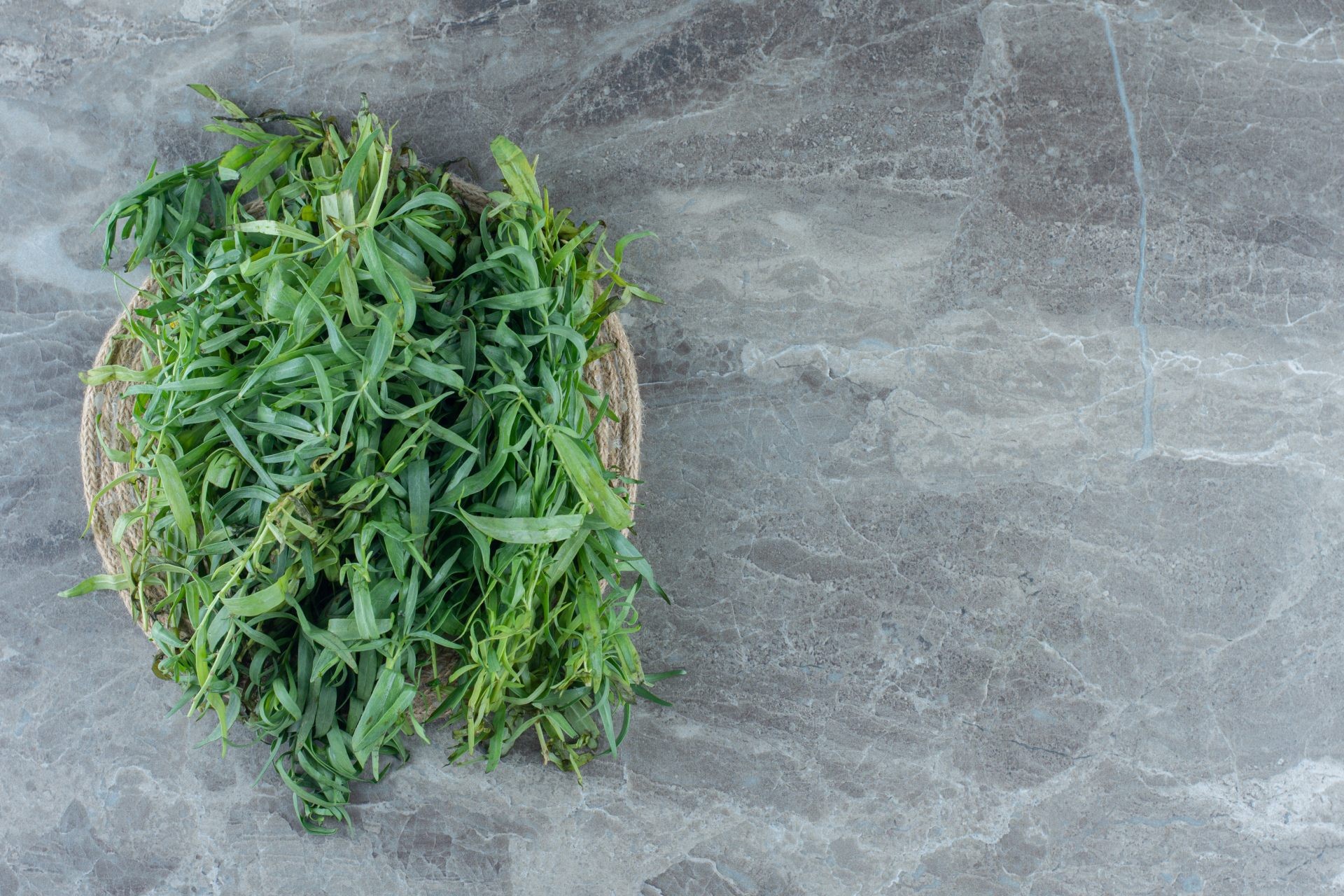 Estragão: Benefícios Digestivos e Contraindicações da Erva Aromática
