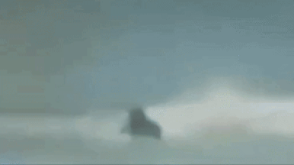Imagem mostra momento em que surfista que teve perna arrancada é atacado por tubarão na Austrália — Foto: Reprodução