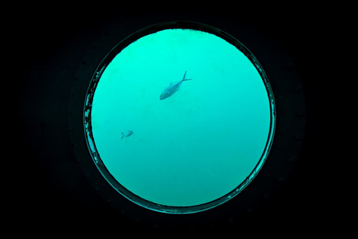 Alemão vive a 11 metros submerso no mar em busca de recorde do Guinness ...