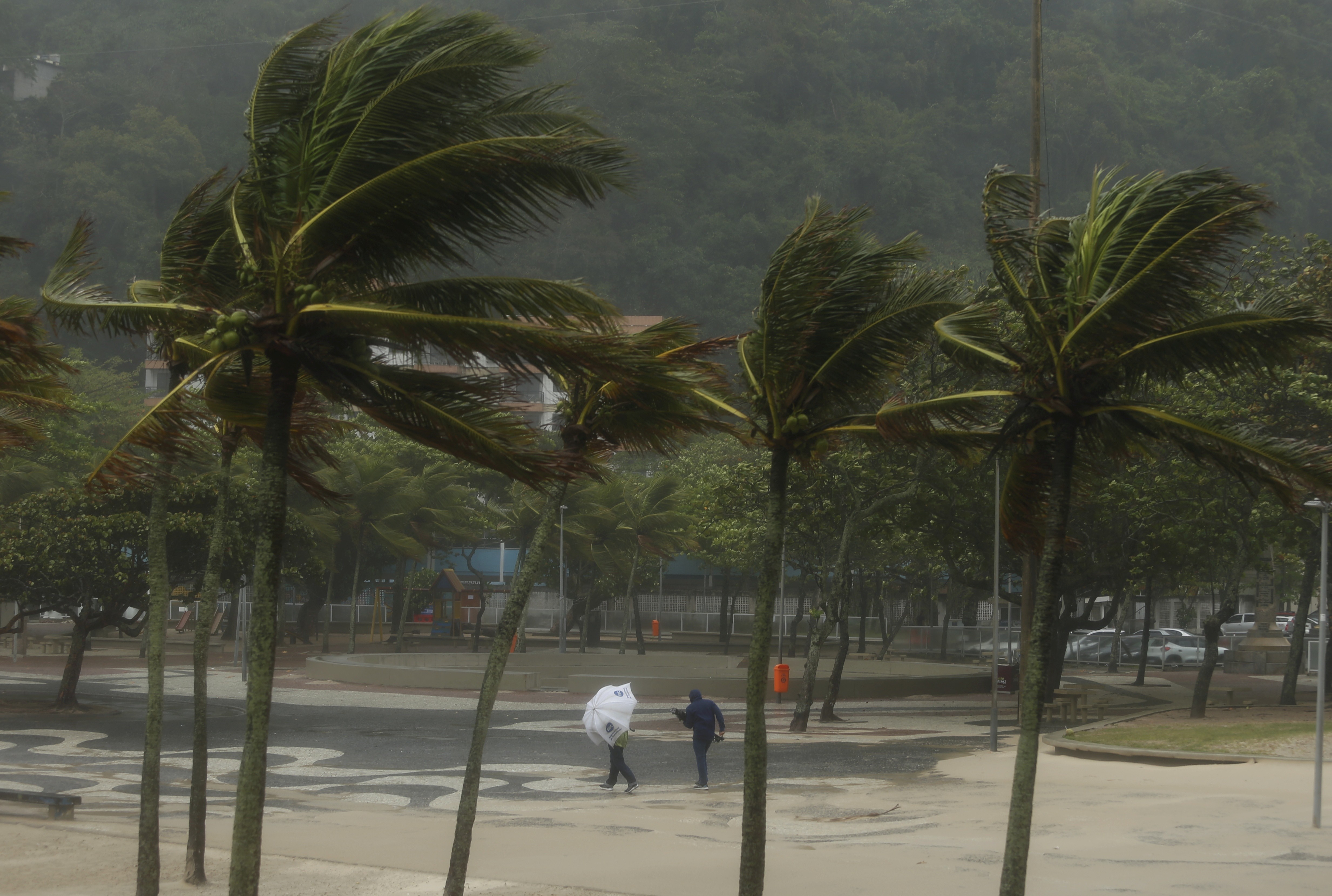 Defesa Civil envia alerta 'severo' para ventos fortes nesta quarta-feira e reforça recomendações à população no Rio