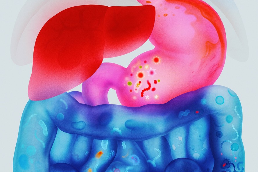 Microbiota pode influir no risco de desenvolver doenças