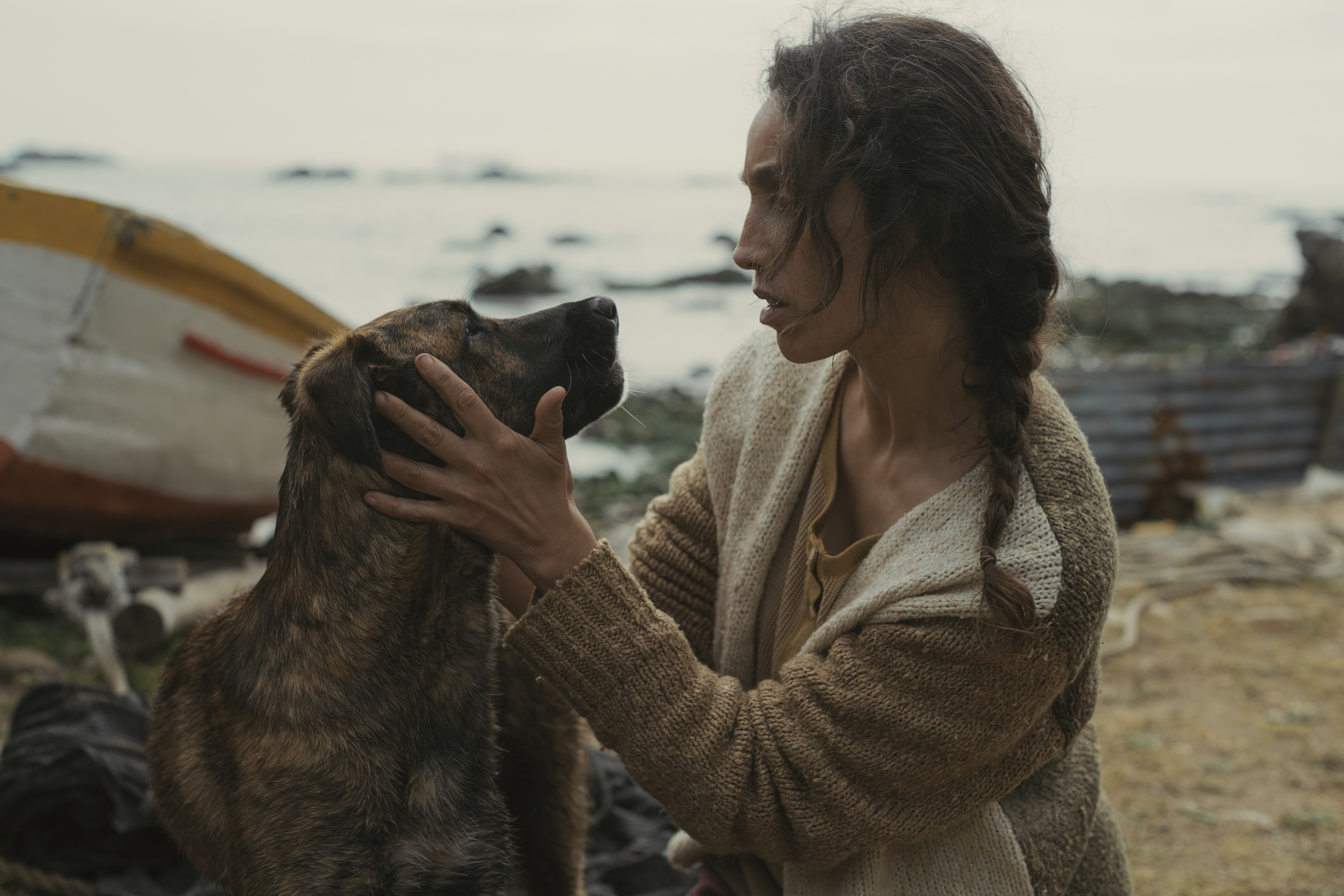 Cadela de filme com Selton Mello ganha prêmio no Festival de Cannes por 
