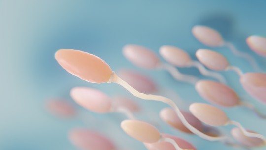 Microplásticos encontrados em testículos humanos (e podem estar afetando o esperma); entenda