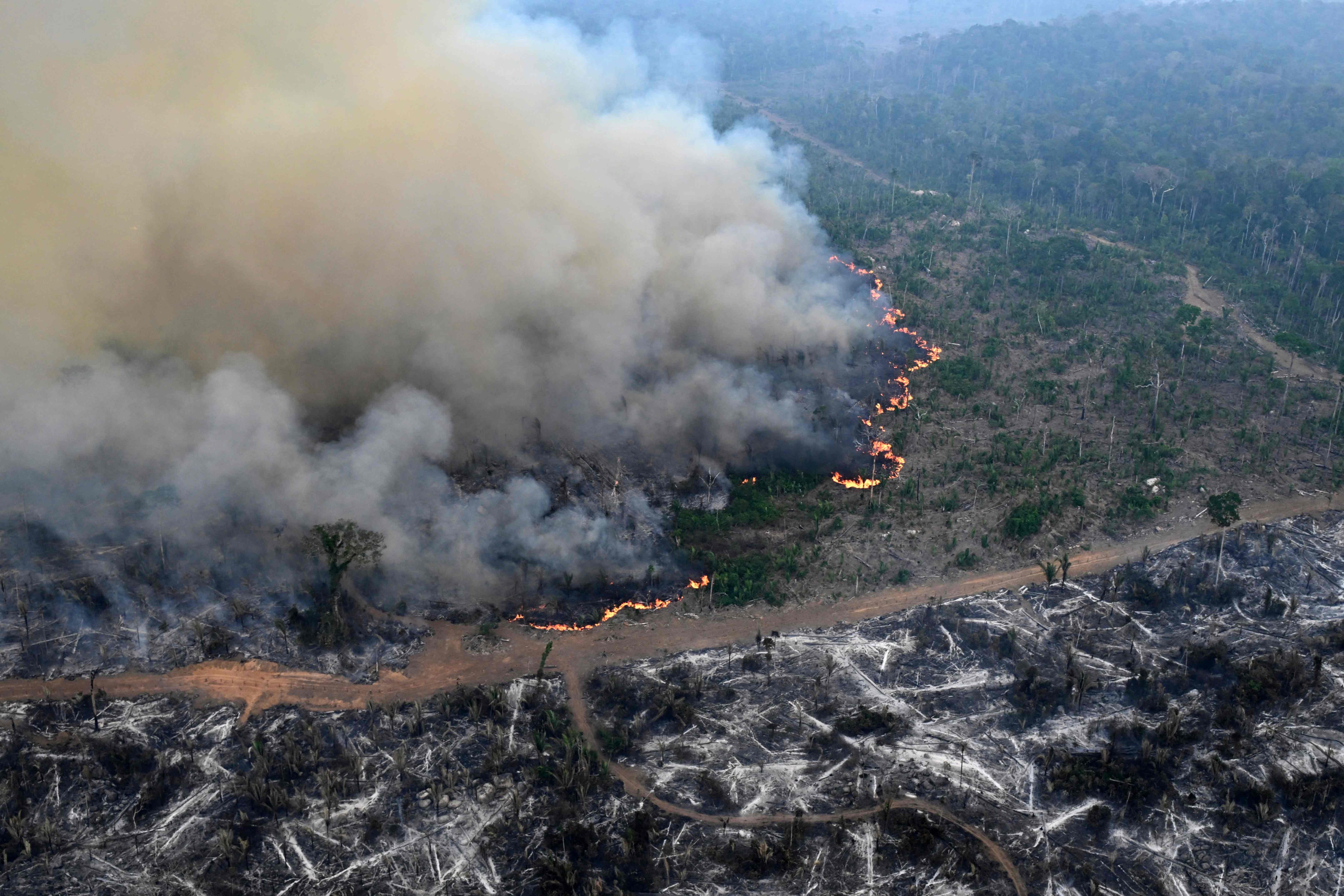 Pará declara situação de alerta climático e ambiental por causa da previsão de forte El Niño