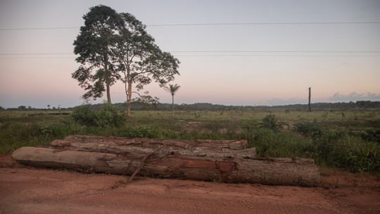 Cúpula da Amazônia pode ter meta comum para eliminar o desmatamento ilegal