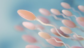 Microplásticos encontrados em testículos humanos (e podem estar afetando o esperma)