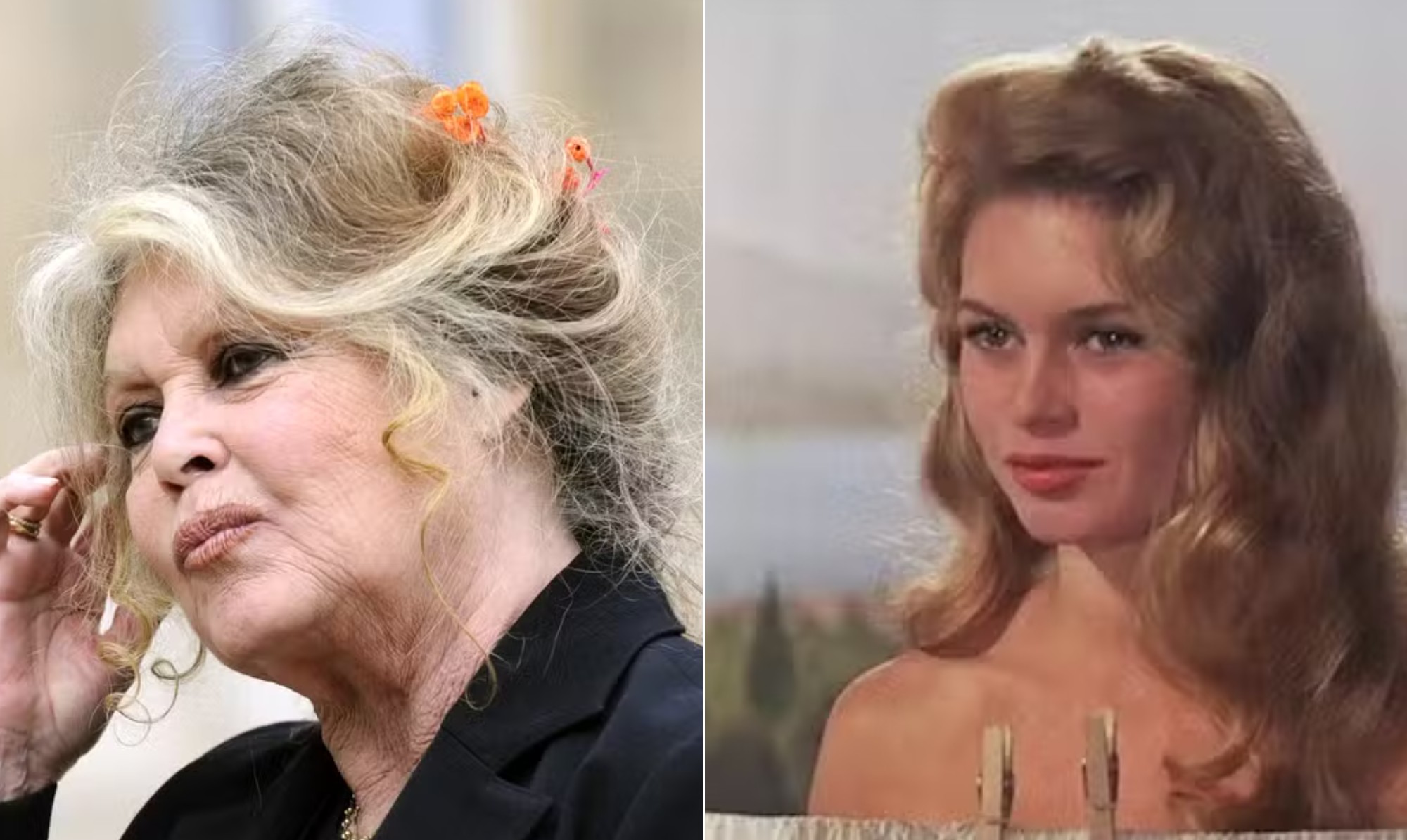 Brigitte Bardot, de 91 anos, é internada em estado grave e passa por cirurgia na França