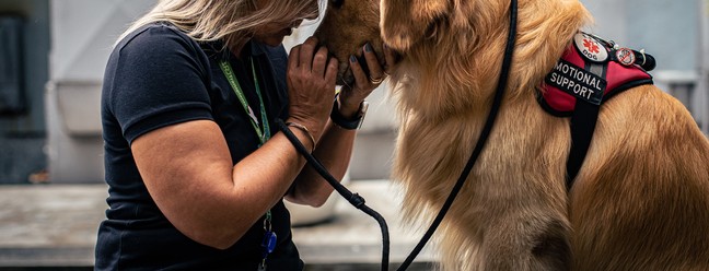 Cachorros que acompanham pessoas com transtornos de saúde mental, como ansiedade e depressão. Danielle Cristo e seu cachorro, Rudá, onde trabalha, na Secretaria de Estado de Saúde — Foto: Hermes de Paula / Agência O Globo