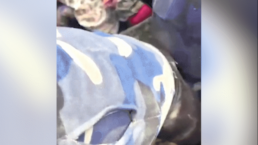 Menina é retirada de escombros por equipes de resgate no Nepal dias após enxurrada; veja vídeo