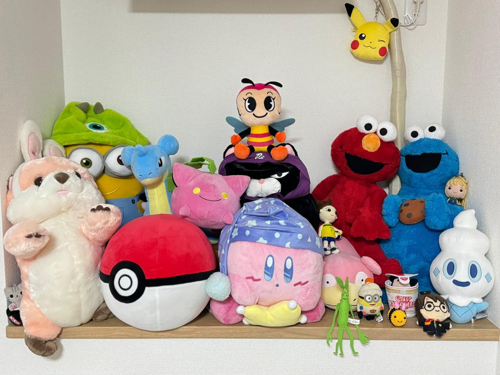 Cole&ccedil;&atilde;o de pel&uacute;cia e mascotes de Rosamaria no Jap&atilde;o: todo lugar tem um souvenir &mdash; Foto: Arquivo pessoal
