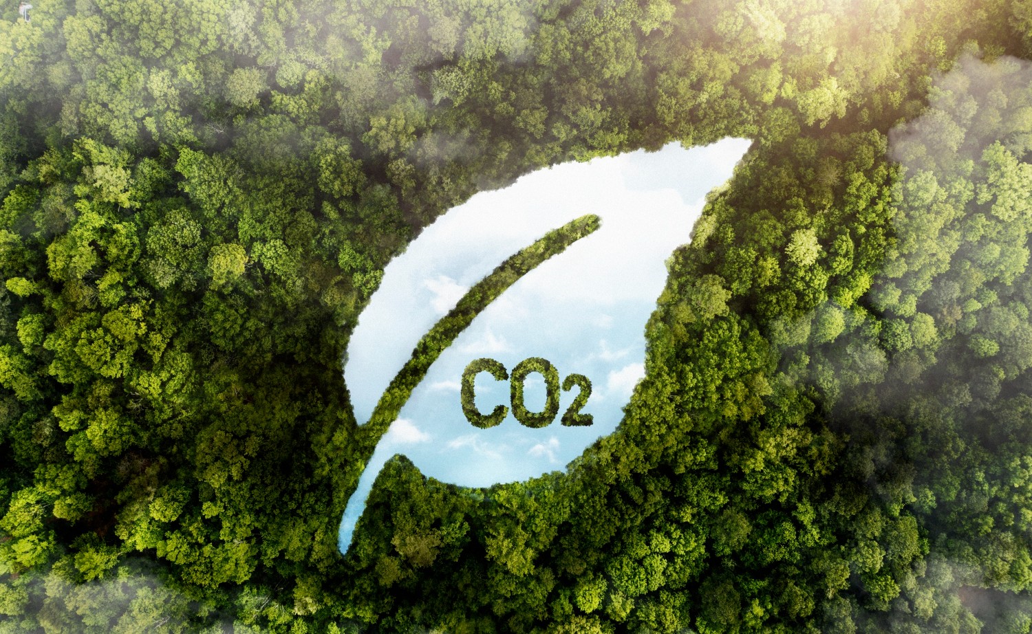 Crédito de carbono de alta qualidade sobe 75%, diz MSCI