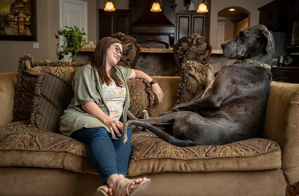 Cachorro mais alto do mundo morre após complicações por amputação nos EUA