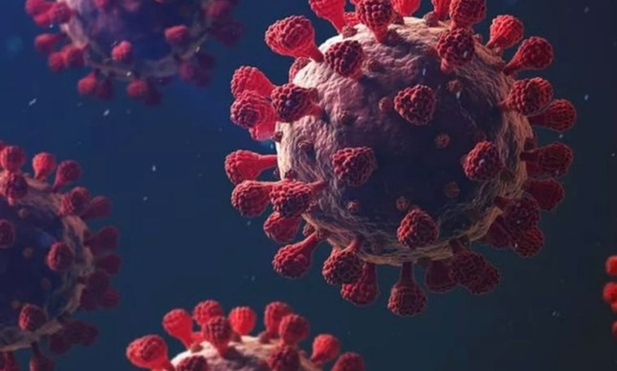Covid: estudo que revelou por que alguns não se contaminam é o 1º a ...