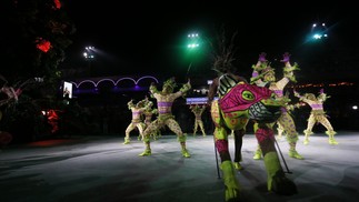 Desfile da Mangueira — Foto: Marcelo Theobald / Agência O Globo
