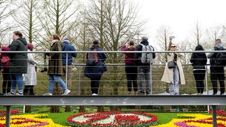 Visitors observe the gardens in celebration of the 75th anniversary of Keukenhof Gardens in Lisse, near Amsterdam, Netherlands. — Photo: Nick Gammon/AFP