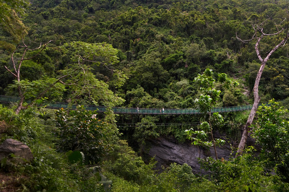 Turistas internacionais têm'conhecimento muito baixo' sobre Taiwan, segundo co-fundador de uma empresa de turismo local — Foto: Chang W. Lee/The New York Times