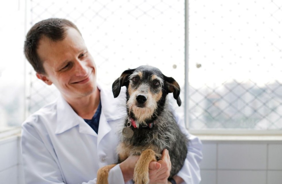 Dr Pet e a Estopinha, a primeira pet influencer do Brasil — Foto: Reprodução Instagram