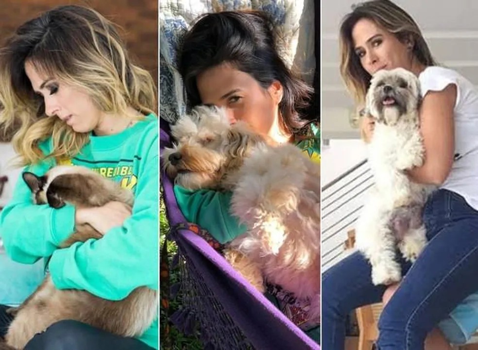 Tatá Werneck é amante dos animais e tem vários bichos de estimação — Foto: Reprodução: Instagram