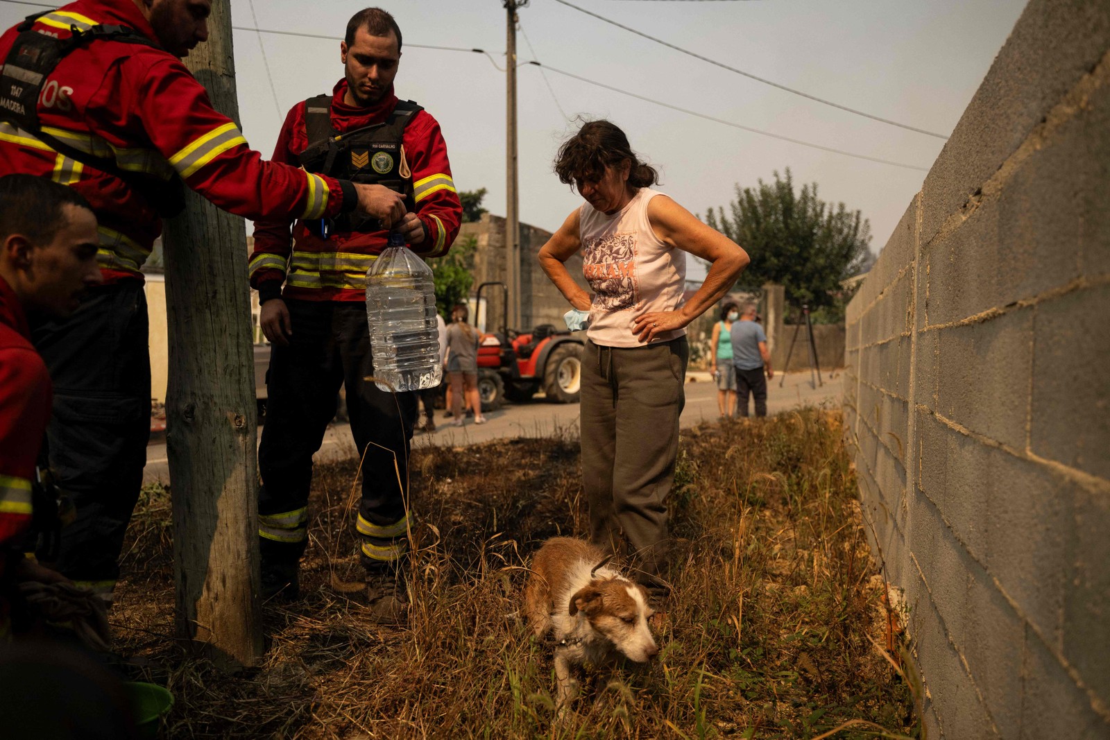 Mulher E Bombeiros observam Cachorro Resgatado - Foto: Patrícia de Melo Moreira/AFP