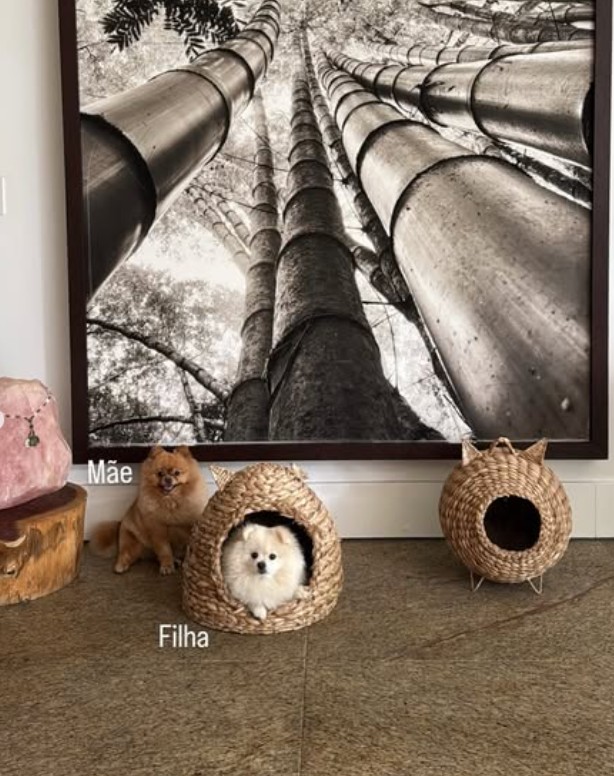 Detail of the entrance to the house – photo: reproduction