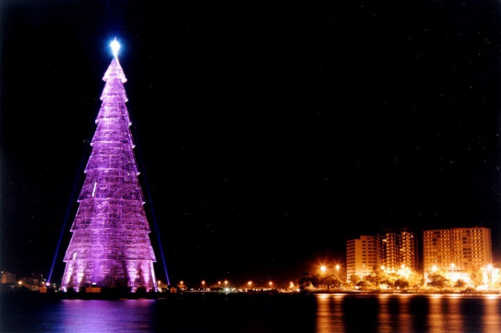 Roxa e reluzente, a Árvore da Lagoa de 2001 se destacava no espelho d’água — Foto: Divulgação