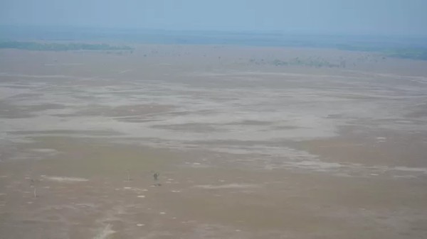 Região da Reserva Biológica do Guaporé teria sido reduzida em 48% por conta da ação dos animais — Foto: ICMBio/Divulgação