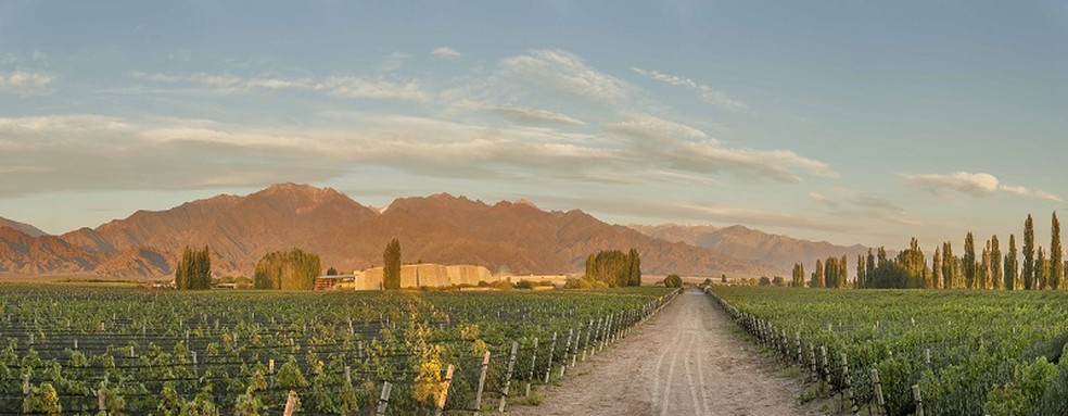 A vinícola Zuccardi no Vale de Uco: aos pés dos Andes — Foto: Divulgação / Zuccardi