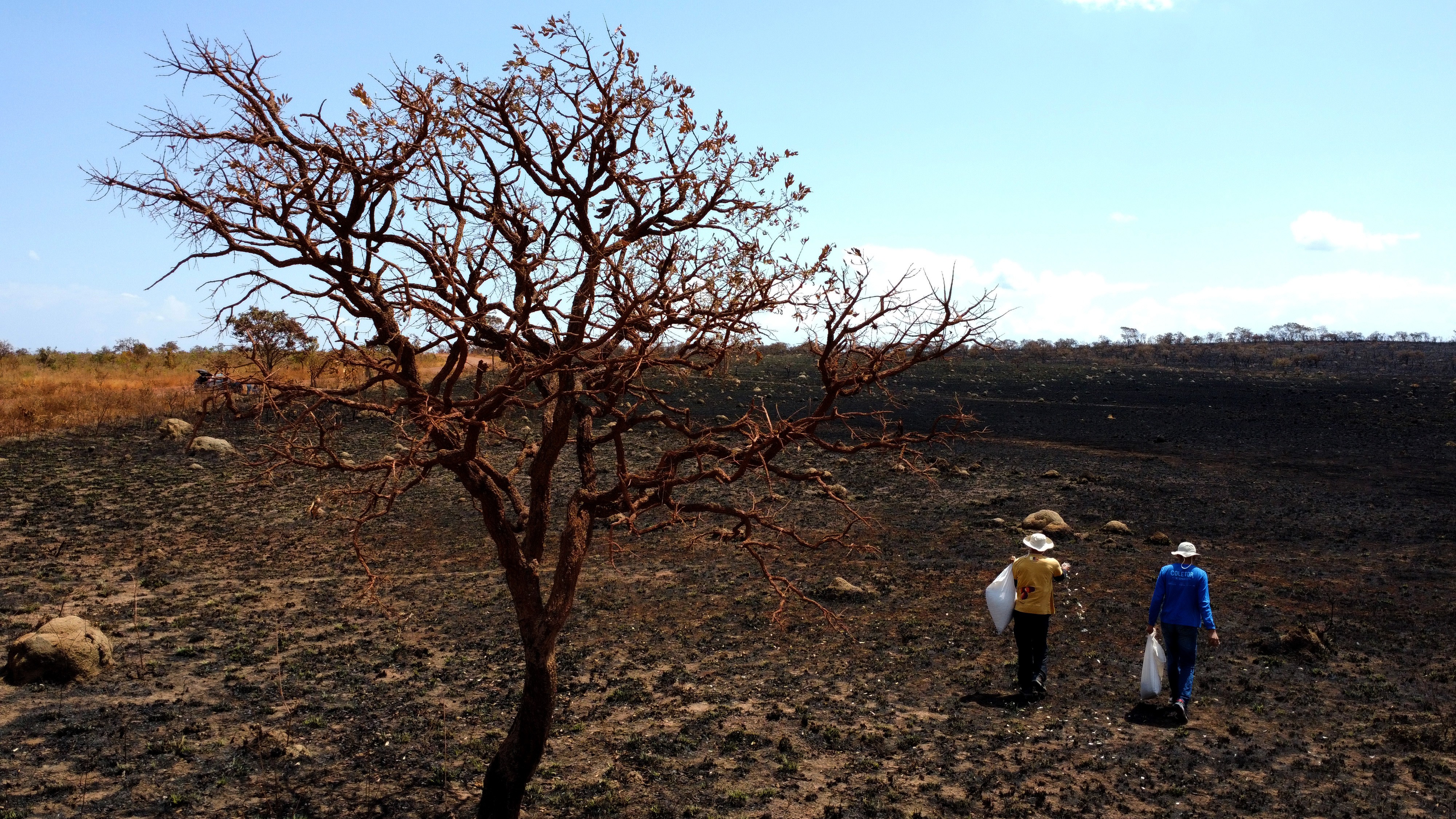 ONU vê 80% de chance de El Niño entre junho e agosto, com alerta para eventos climáticos extremos