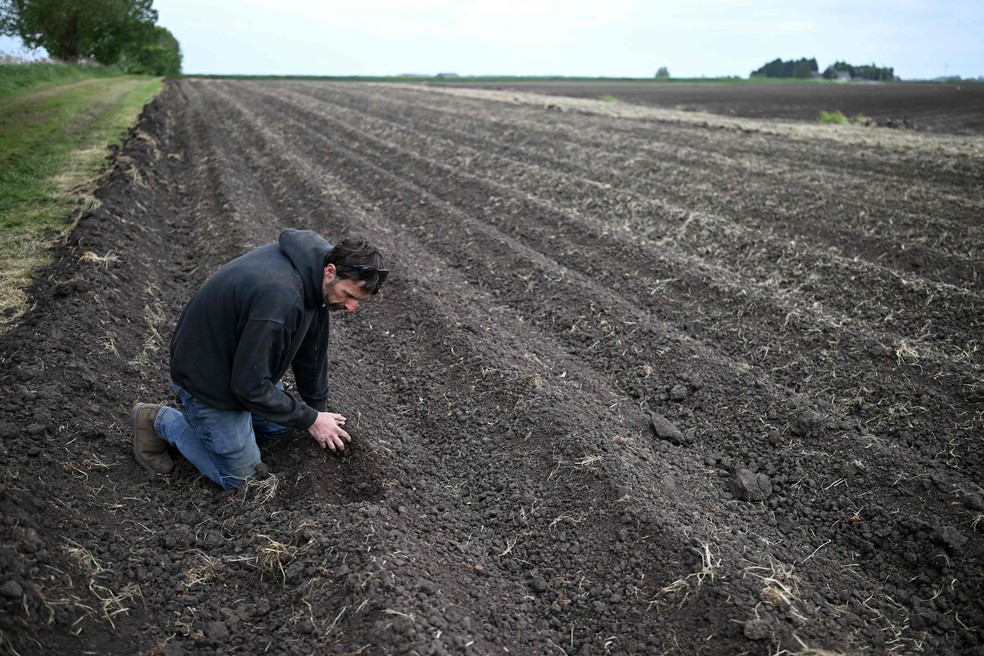 Norte da Europa enfrenta seca histórica enquanto sul do continente registra chuva duas vezes maior que o normal — Foto: Justin Tallis/AFP
