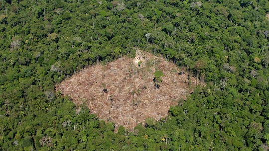 O PL que reduz reserva legal na Amazônia e os compromissos climáticos do Brasil
