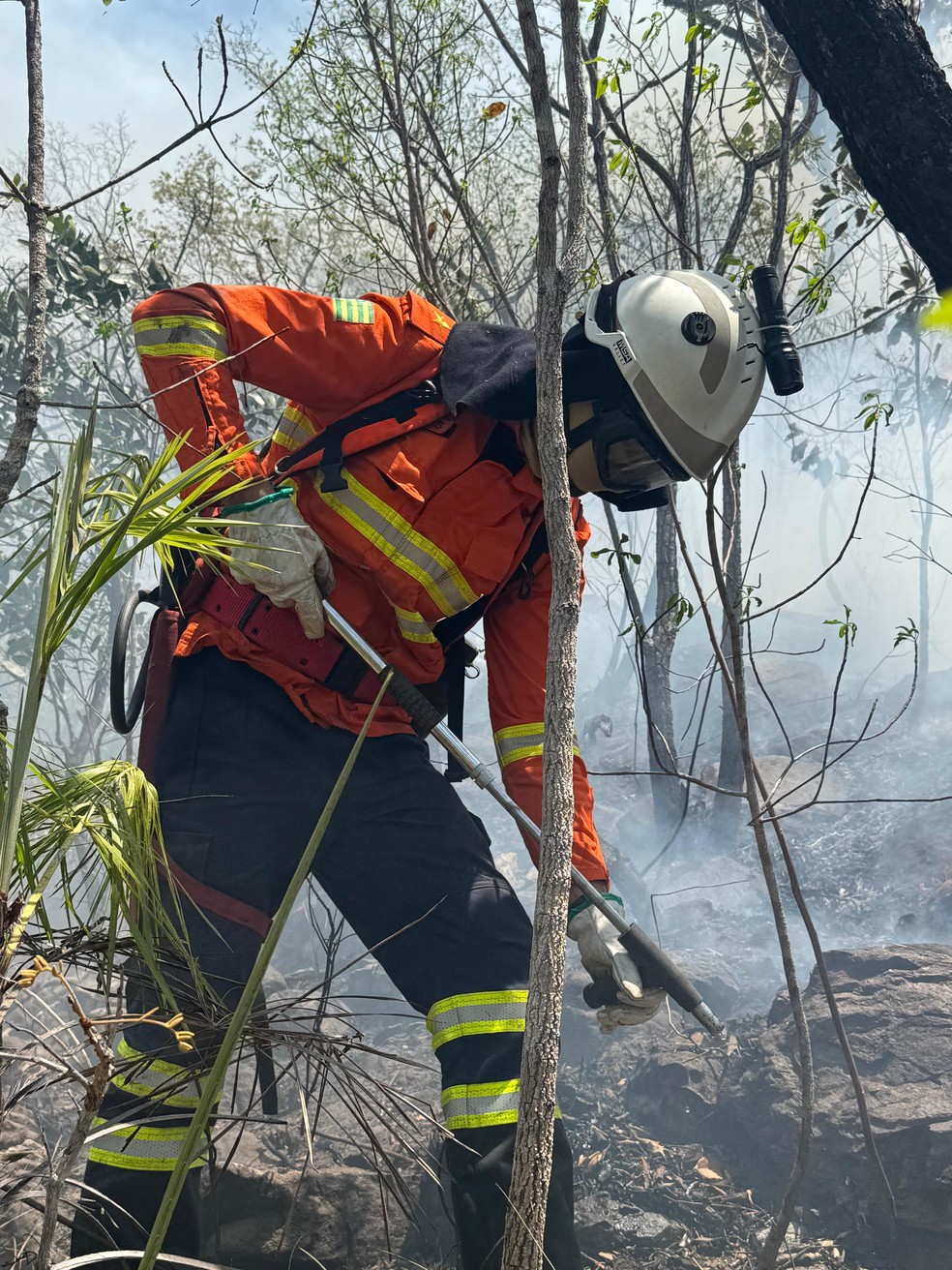Cerca de 57 mil hectares na Chapada dos Veadeiros foi atingida — Foto: Divulgação/Corpo de Bombeiros Militar do Estado de Goiás (CBMGO)