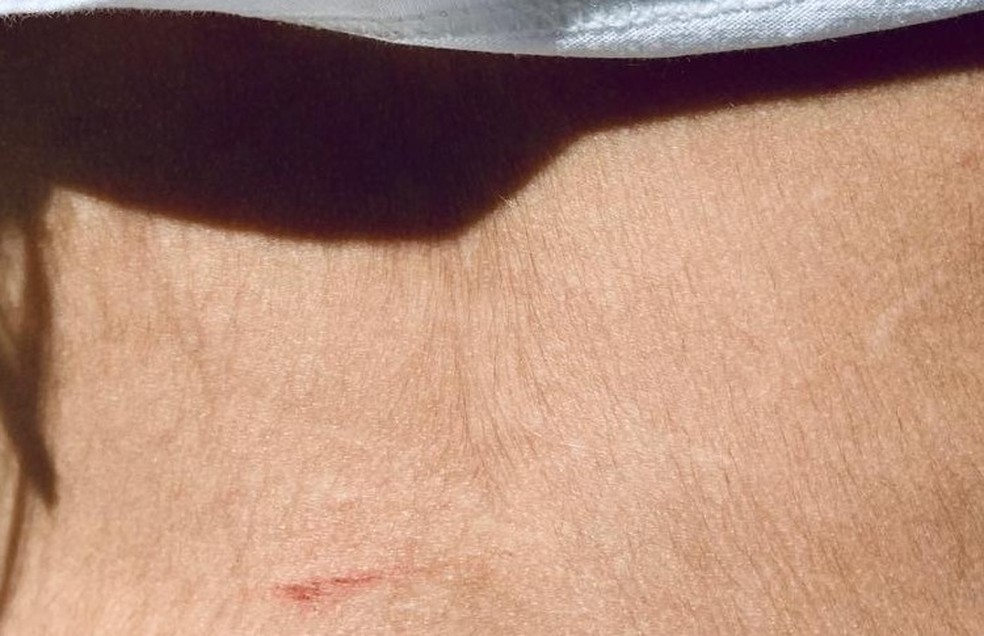 Engraving on the back of V. — Photo: Gabriela Salgueiro