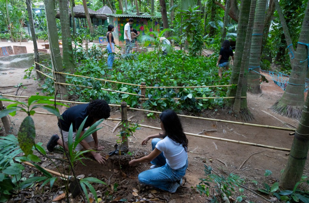 COP 30 impulsiona aulas e projetos de meio ambiente nas escolas do Brasil