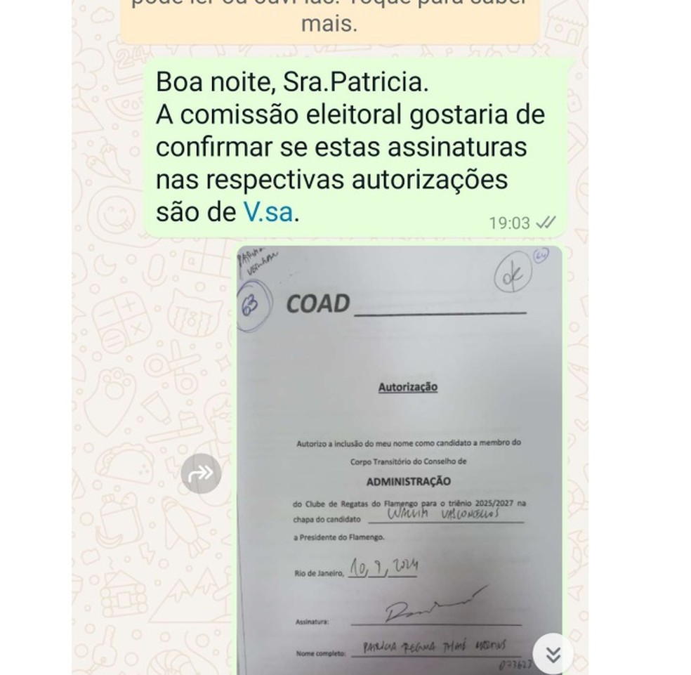 Comissão Eleitoral consultou sobre assinaturas — Foto: Reprodução