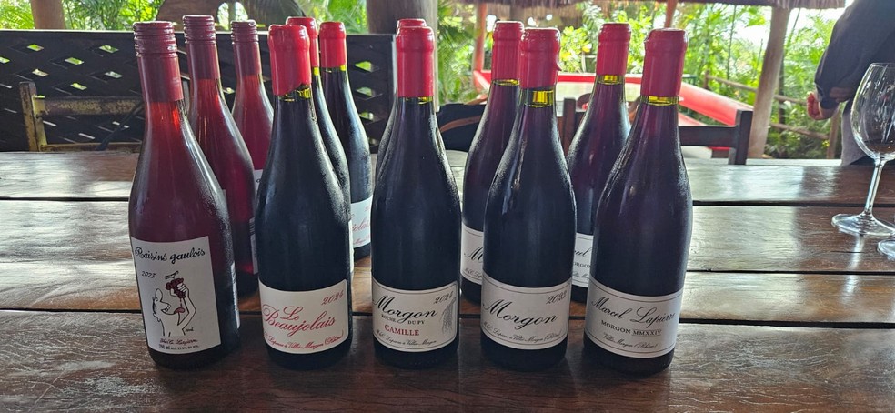 Os vinhos da Lapierre — Foto: Cláudia Meneses / Agência O Globo