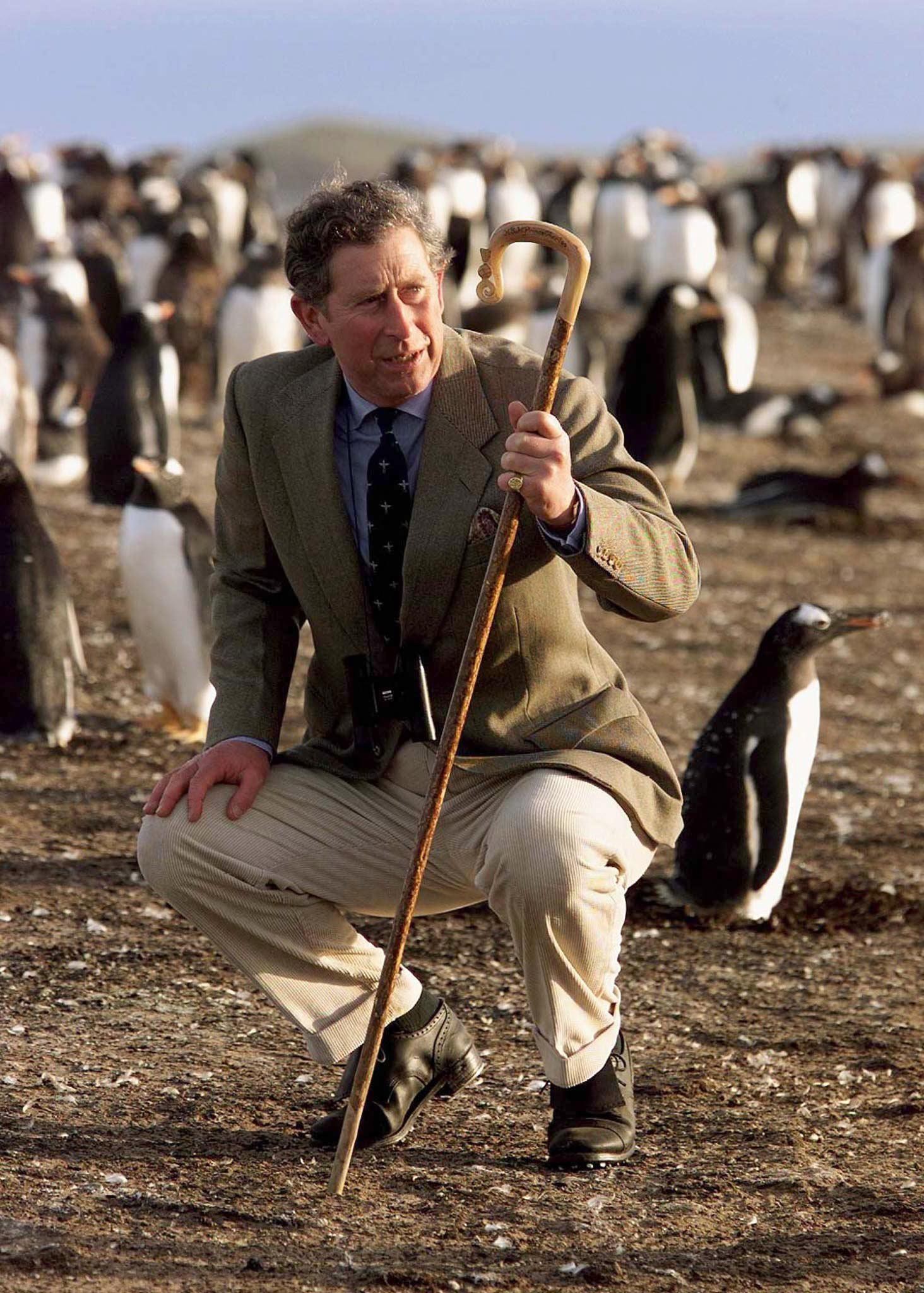 O príncipe britânico Charles observa uma colônia de pinguins na Ilha do Leão Marinho, na costa das Ilhas Malvinas, em 15 de março de 1999 — Foto: DYLAN MARTINEZ / POOL / AFP