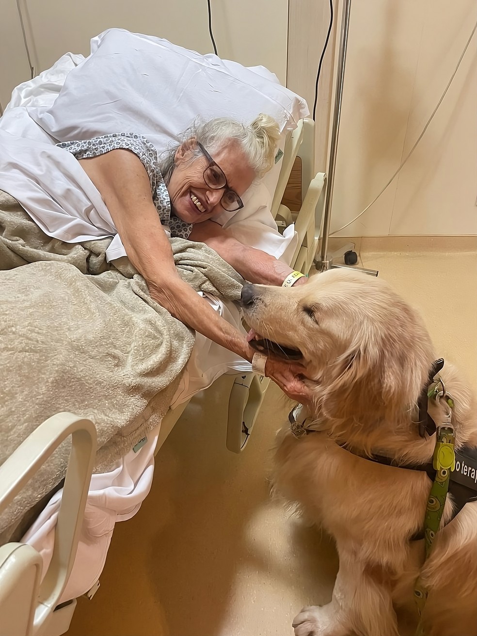 O cão Bento é acariciado por paciente do Hospital São Lucas, em Copacabana — Foto: Divulgação/Pêlo Próximo