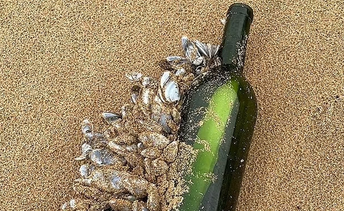 Mensagem em garrafa da costa brasileira chega à praia na austrália após 16 anos no mar