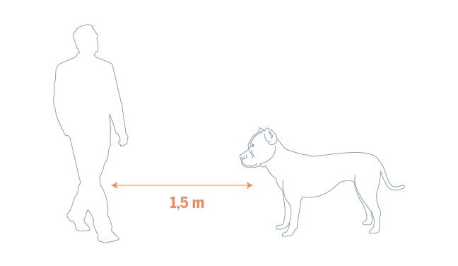 O ideal é passar a 1,5m de distância de um cão de  comportamento feroz,além da distância da guia