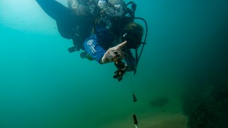 O Projeto Verde Mar tem mergulhadores para coleta de resíduos no mar, a serem catalogados e usados como dado em estudos científicos — Foto: Projeto Verde Mar / Divulgação