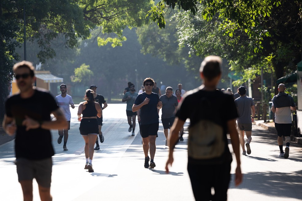 Parque do Ibirapuera é bastante procurado pelo paulistano para a prática de corrida: espaço público, de uso comum da população — Foto: Maria Isabel Oliveira / O Globo.