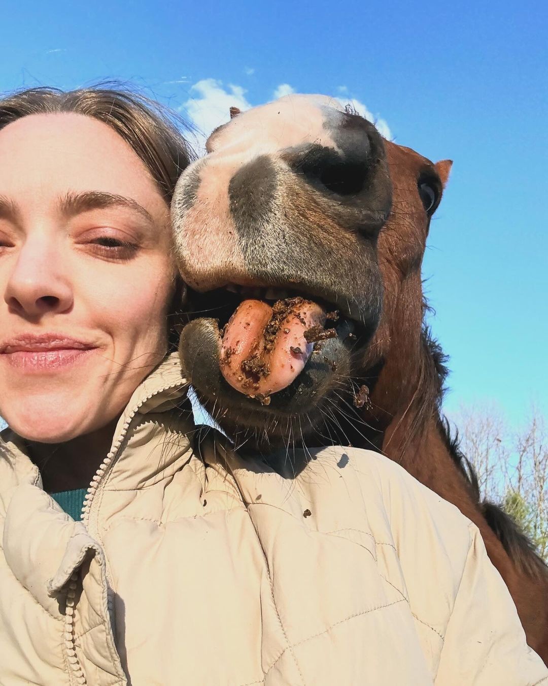 Veja fotos da fazenda de Amanda Seyfried que decidiu trocar Hollywood por uma casa do outro lado do país