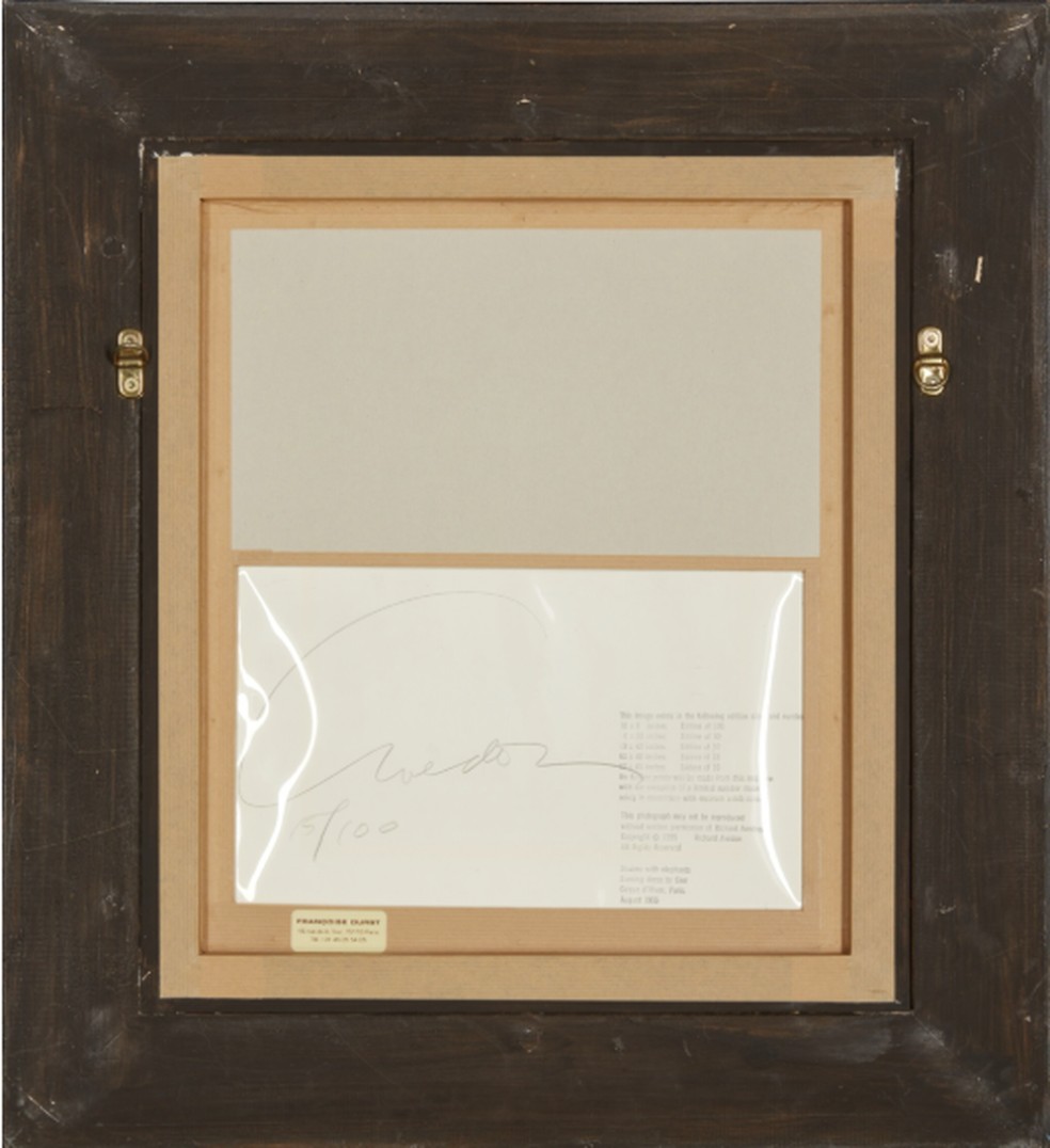 Fotografia "Dovima com Elefantes" está à venda na casa de leilão internacional Sotheby's — Foto: Sotheby's