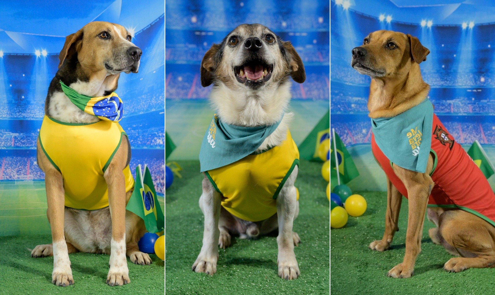 ‘Leonel Dog’, ‘Caramelo Ronaldo’ e ‘Neydog’: campanha entra 