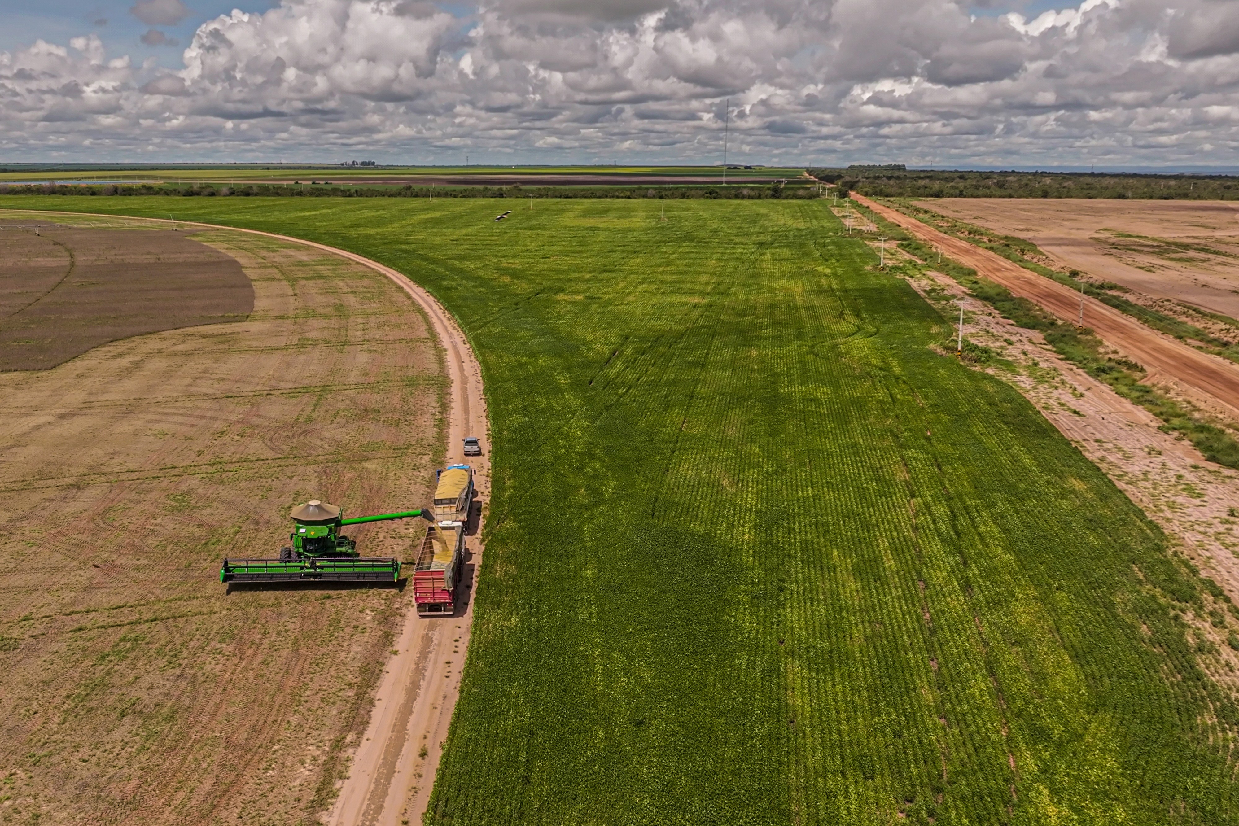 Com El Niño à espreita, Brasil tem a menor cobertura de seguro rural em 20 anos