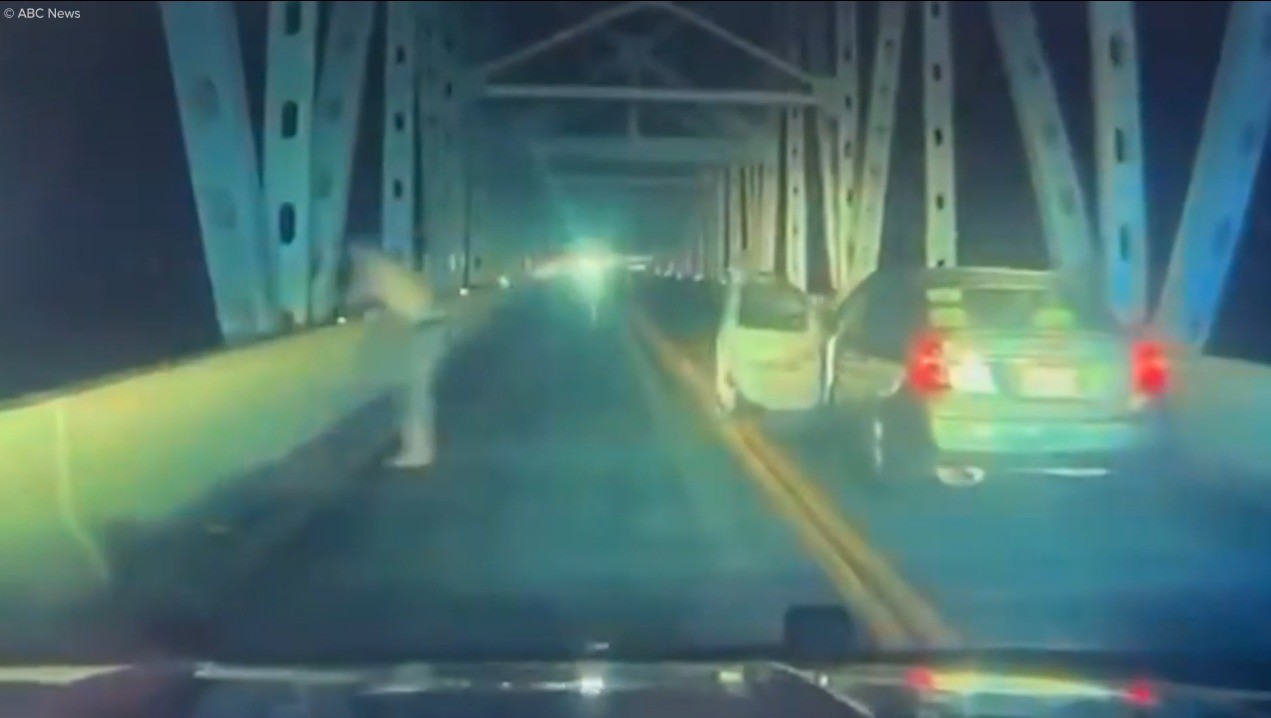 Homem que fugia da polícia nos EUA salta de ponte para escapar, sobrevive e acaba preso; veja vídeo