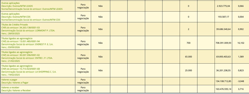 Máxima 2 fund portfolio, in September 2024, with more than R$700 million worth of securities from Everest, a subsidiary of Ambipar - Image: Reproduction/CVM Platform