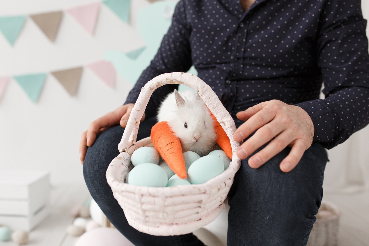Símbolo de castidade? Por que e quando o coelho se tornou símbolo da Páscoa; entenda a tradição